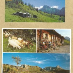 Loosbühelalm_alt