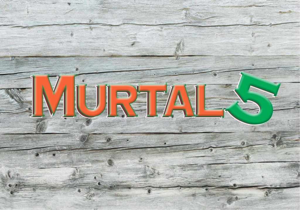 Murtal 5 live auf der Loosbühelalm