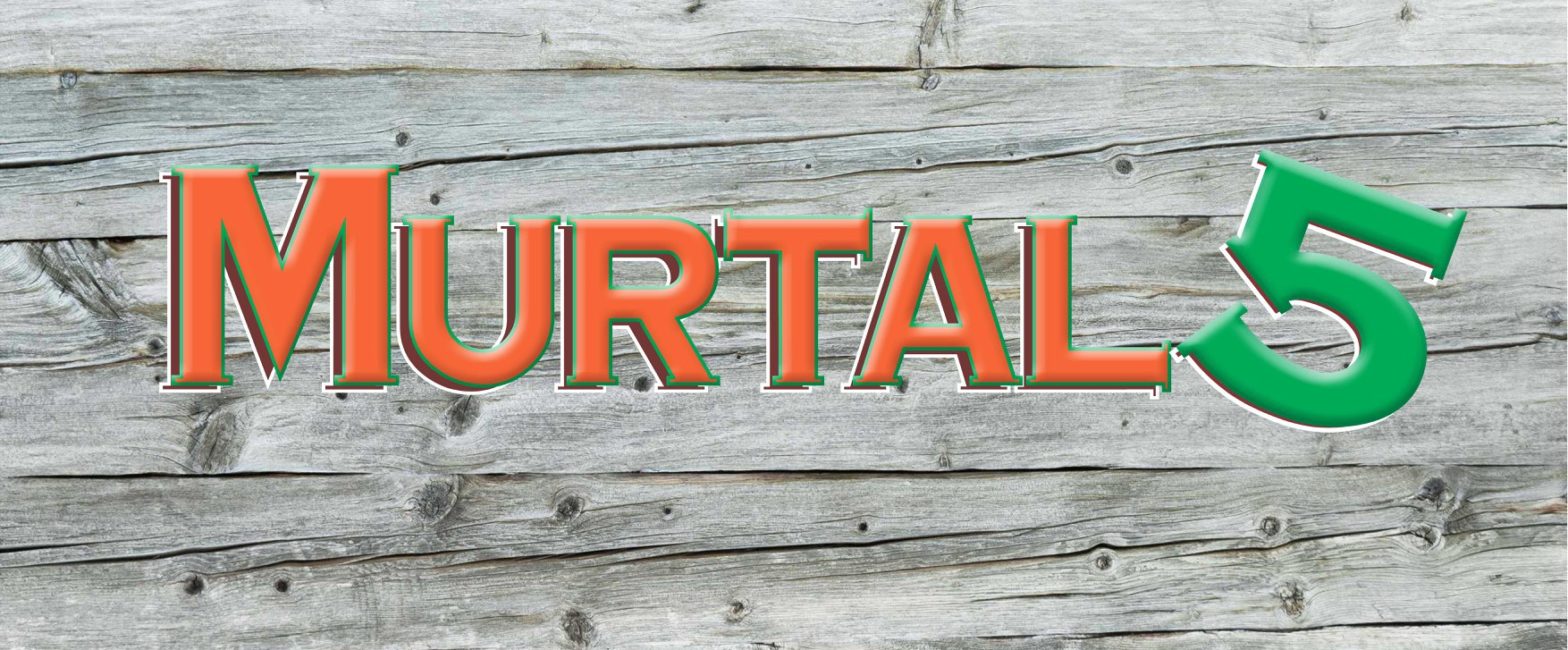 Murtal 5 live auf der Loosbühelalm