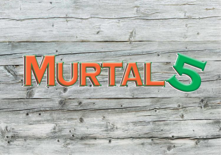 Murtal 5 live auf der Loosbühelalm