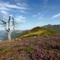 Pressereise Grossarltal 2019-08_79