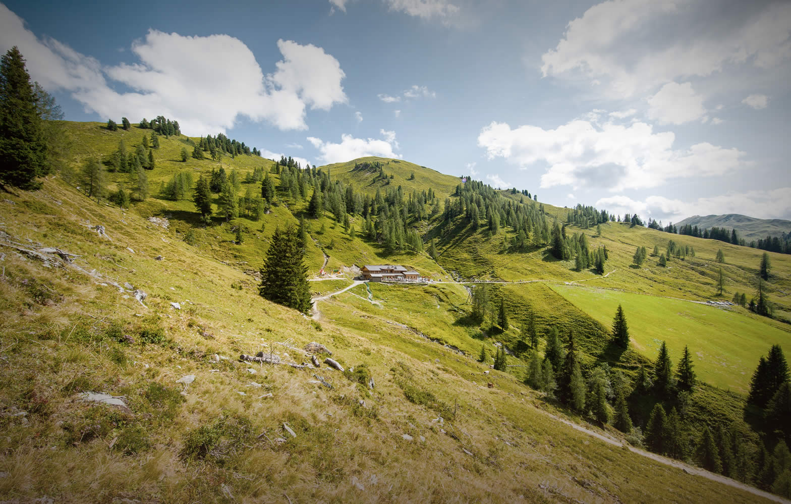 Ausflugsziel & Hütte in Großarl – Loosbühelalm