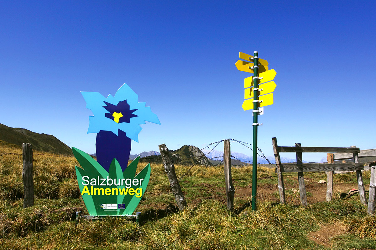 Direkte Lage am Salzburger Almenweg