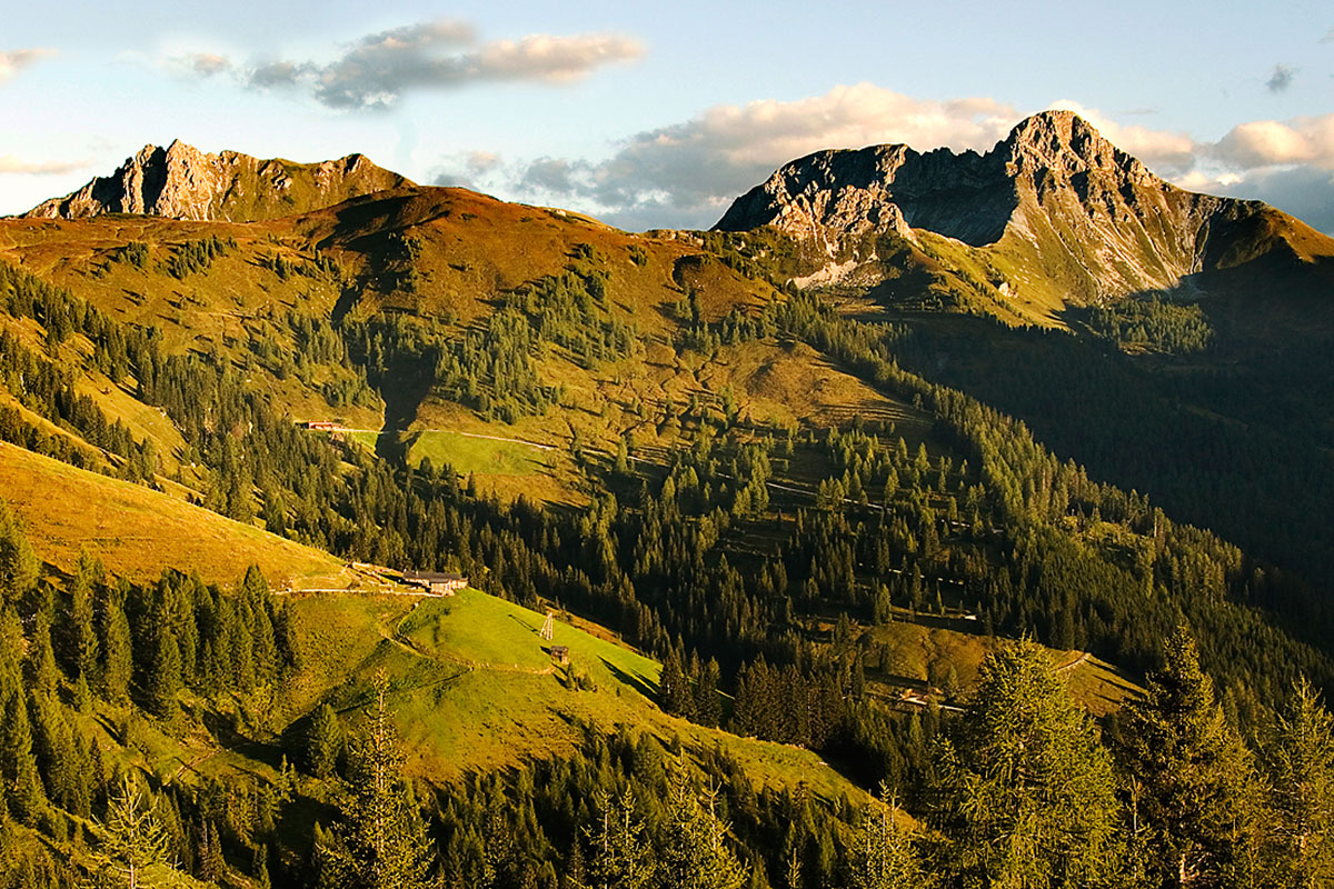 Ausflugsziel im Großarltal, Salzburg – Loosbühelalm im Sommer & Herbst