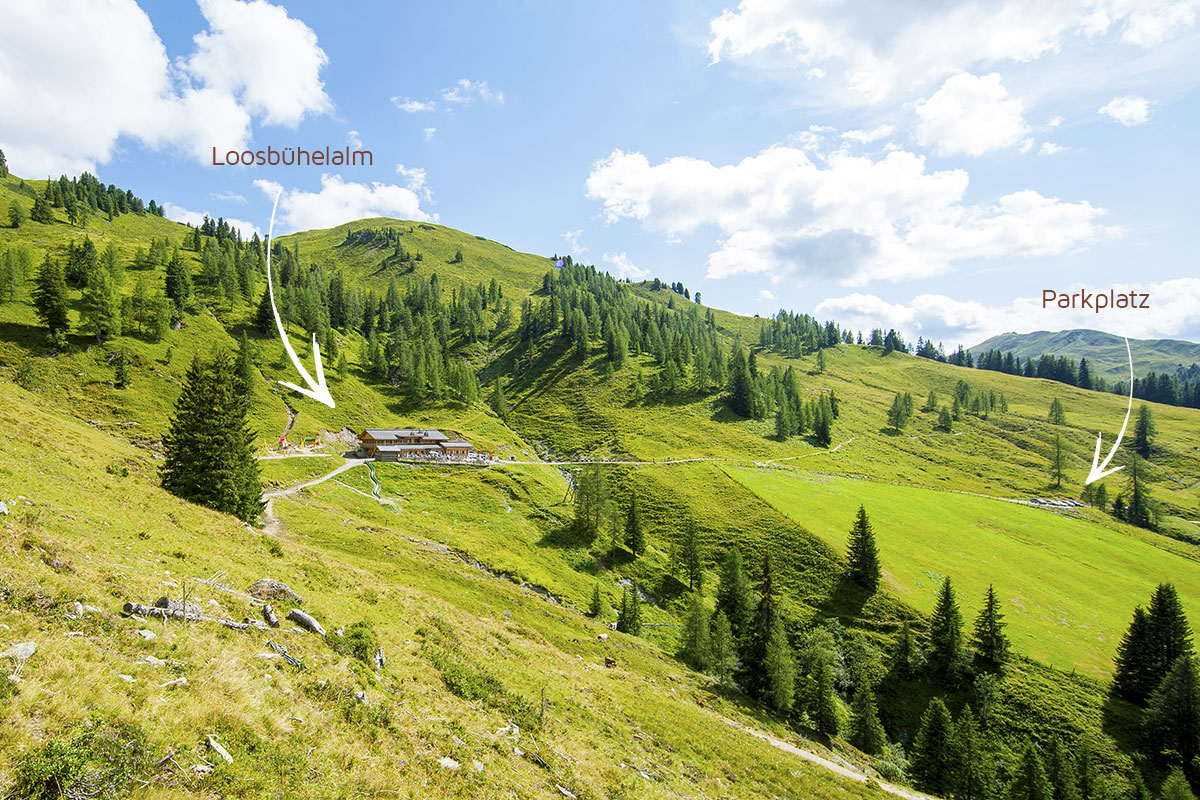 Einkehren in die Loosbühelalm in Großarl, Ellmautal, Großarltal - Urlaub auf der Alm