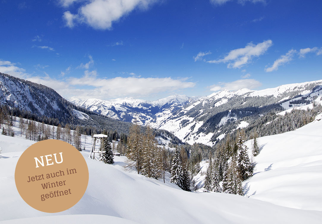 Schneeschuhwandern & Tourengehen im Winter – Loosbühelalm in Großarl